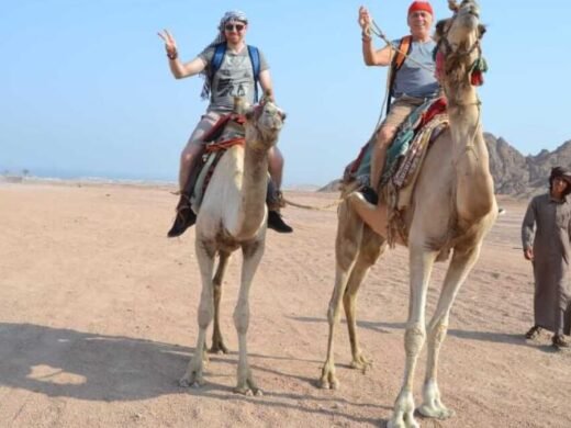 Hurghada-for-you-safari-13 Hurghada-for-you-safari-13