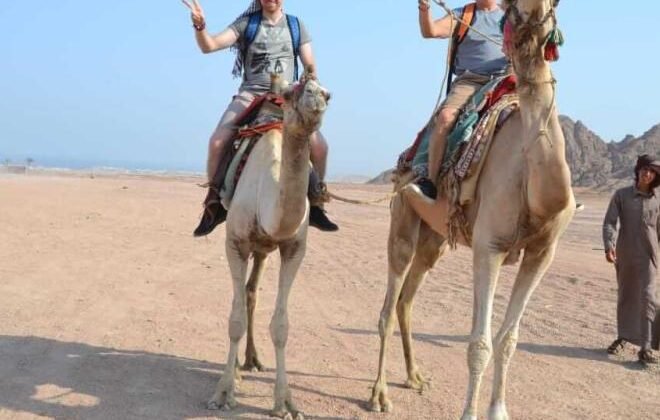 Hurghada-for-you-safari-13 Hurghada-for-you-safari-13