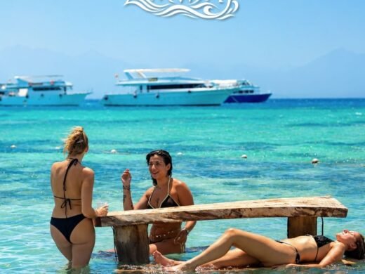 WhatsApp Image 2026-09-14 at 5.11.40 PM.jpeg83